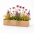 Real Copper Liner or window box with Spring flowers on white background