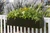 Black fiberglass Modern Window Box installed as railing planter with optional railing brackets.