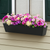 Black Galvanized 2-in-1 Metal Tapered Window Box or Liner installed on window with spring flowers