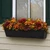Black Galvanized 2-in-1 Metal Tapered Window Box or Liner installed under a window with fall flowers planted inside box