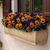Barrel Fiberstone Window Box with purple and orange floral arrangement in Antigua Finish under a window