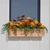 Framed Cottage Cedar Window Box w/ Cleat mounted under a window with fall colored flowers