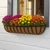 English garden hayrack mounted below a window with fall colored flowers