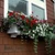 XL Hampton installed on a home with flowers cascading