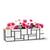 Mondrian window box with pink and purple flowers on white background