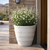 Mache planter planted with white flowers shown next to a door