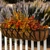 Arch window basket with rail brackets with fall colors on white wood fence with lavender in background