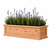 Framed Cottage Cedar Railing Planter on white background