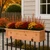 Framed Cottage Cedar Railing Planter filled with fall foliage on black wrought iron fence