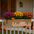 Newport Cedar Window Box on a wood railing with fall flowers with a porch in background