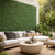 UV Outdoor Rated English Ivy Living Wall on a patio wall with outdoor sofa in front of it