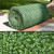 Roll of UV Outdoor Rated Japanese Boxwood Rolls