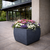 Kahn Rectangular Fiberstone Planter in zinc finish planted with flowers on back patio of contemporary home