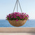 Primitive Fiberstone Hanging Basket with ocean in background Primitive Fiberstone Hanging Basket with ocean in background