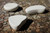Liscio Coffee Table
Sku:  Group
Finish: Chalk Liscio Coffee Table
Sku:  Group
Finish: Chalk