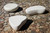 Liscio Coffee Table
Sku:  Group
Finish: Chalk Liscio Coffee Table
Sku:  Group
Finish: Chalk