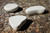 Liscio Coffee Table
Sku:  Group
Finish: Chalk Liscio Coffee Table
Sku:  Group
Finish: Chalk