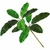 16" UV Rated Outdoor Artificial Baobab Tree Branch on white background