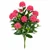 Raspberry Ixora Bush 40" height on white background