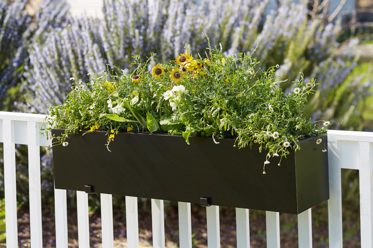 Modern Black Planter on wood fence