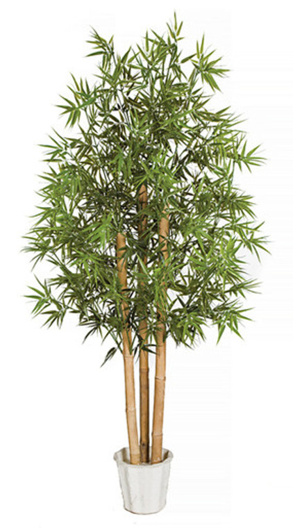 6 foot Bamboo Outdoor Rated Tree in weighted base