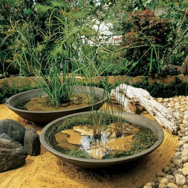 Montrose Resin Low Bowl with a water garden planted