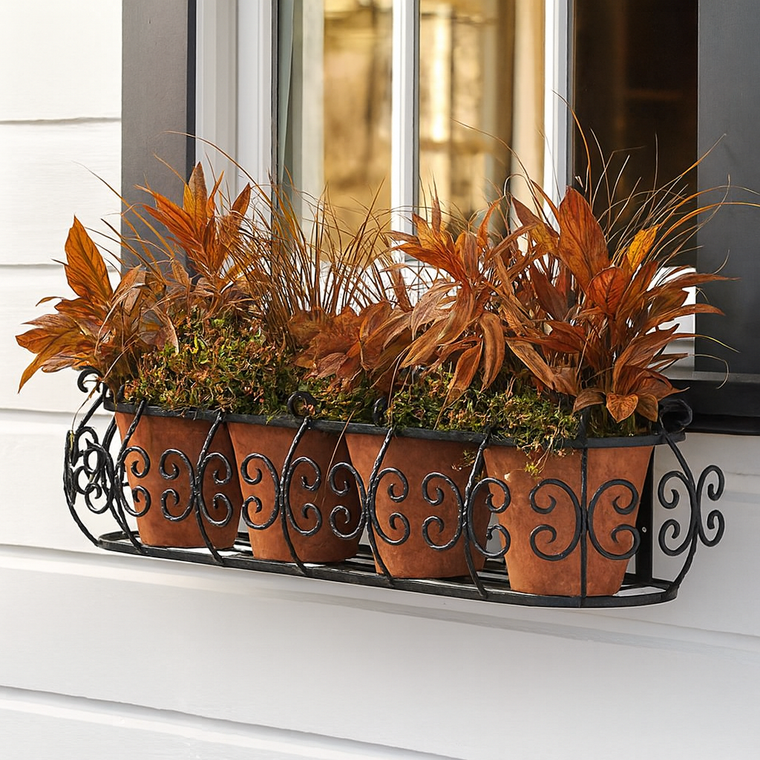 Parisian Window Box mounted to a home with terracotta pots with autumn color plants