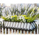 European Powder Coated Steel Window Box with Liner- 7 Sizes