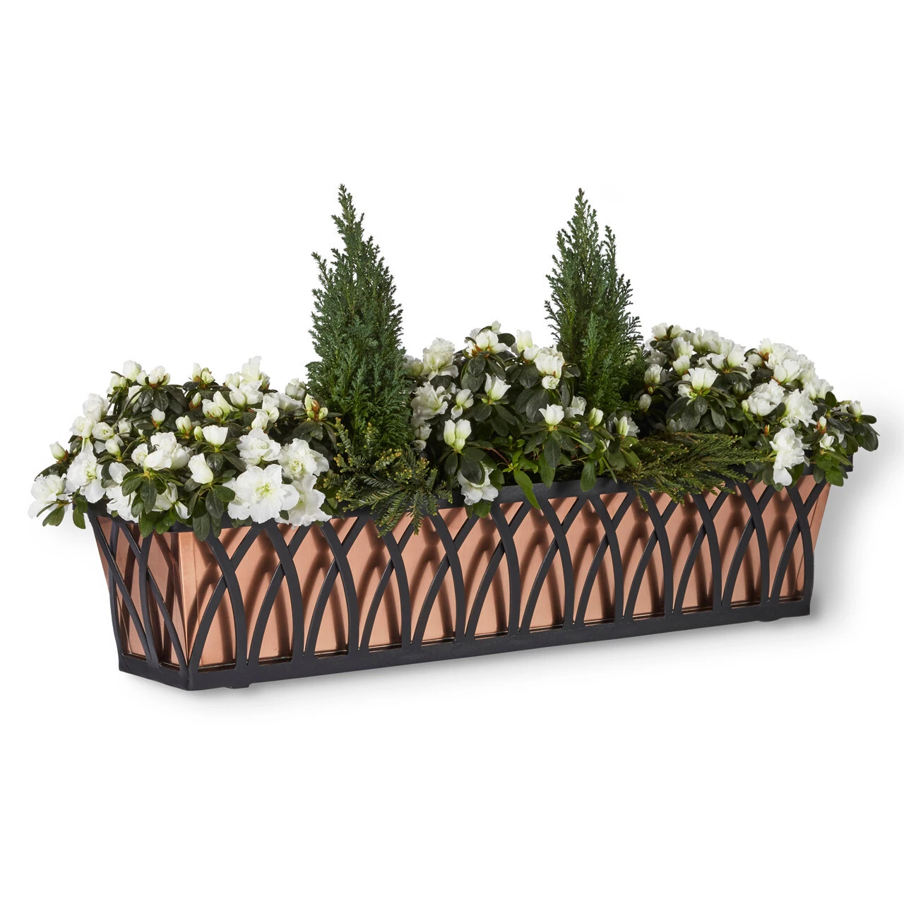Arch Tapered Window Box with copper liner with white flowers and mini cypress trees.