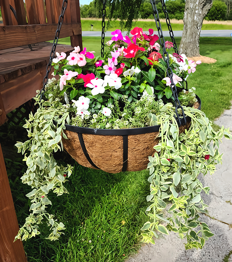 A hanging basket with flowers and vines is suspended over a walkway.