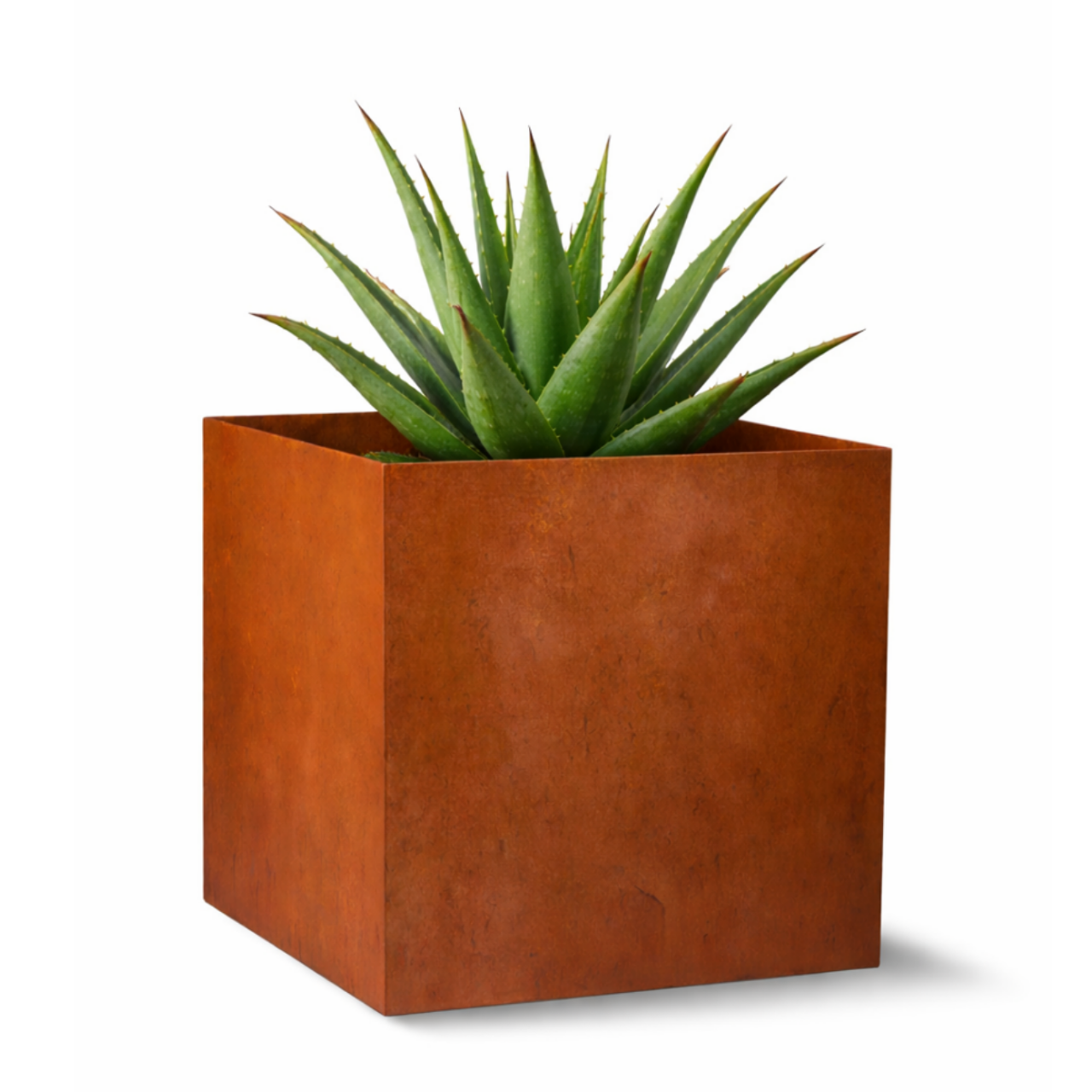 Resin planters just look like heavy stone, lightweight , low maintenance