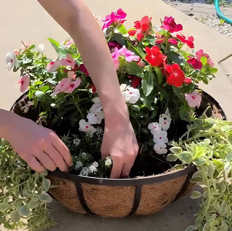 A suspended planter is filled with flowers.