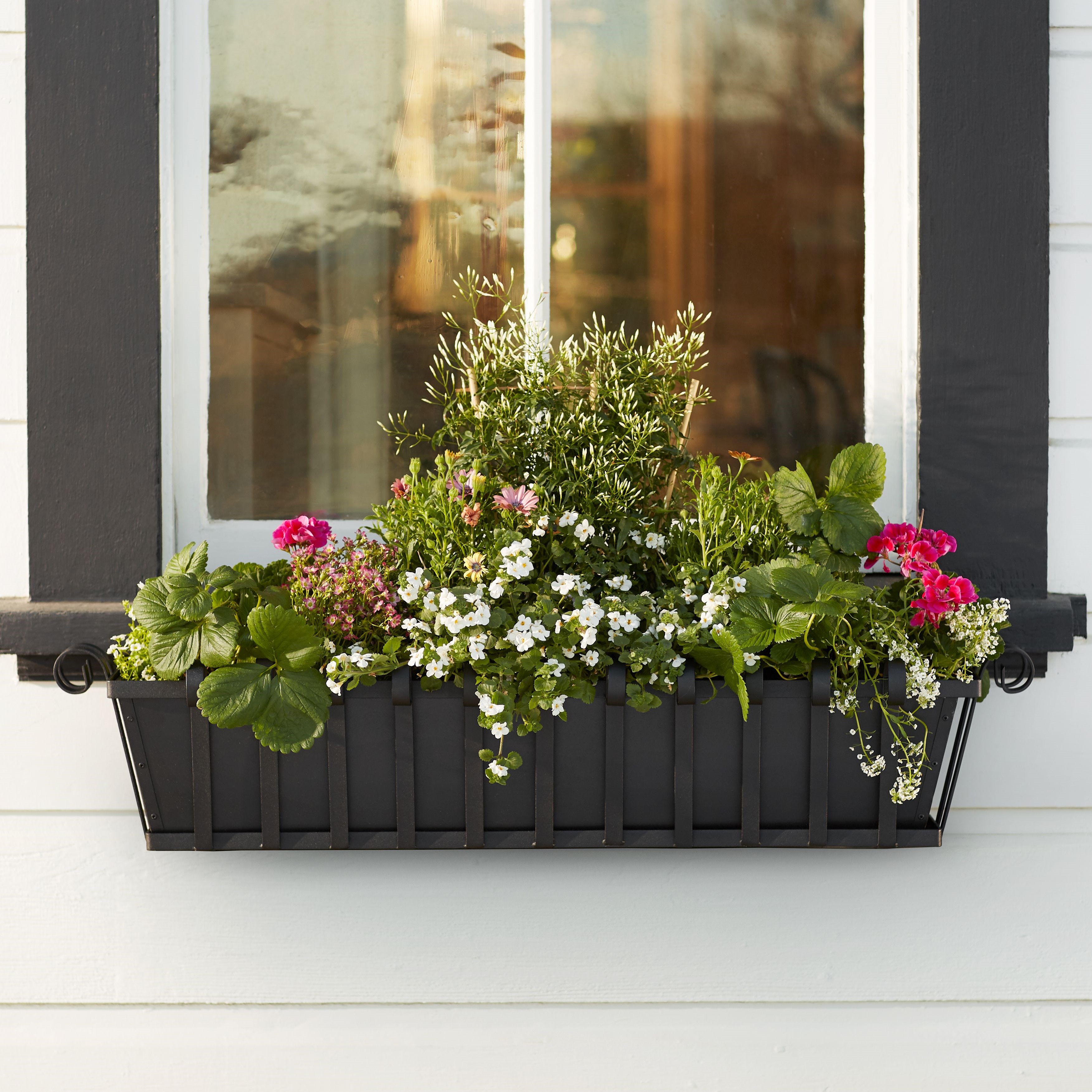 Venetian Window Box with black galvanized liner planted with white and pink flowers