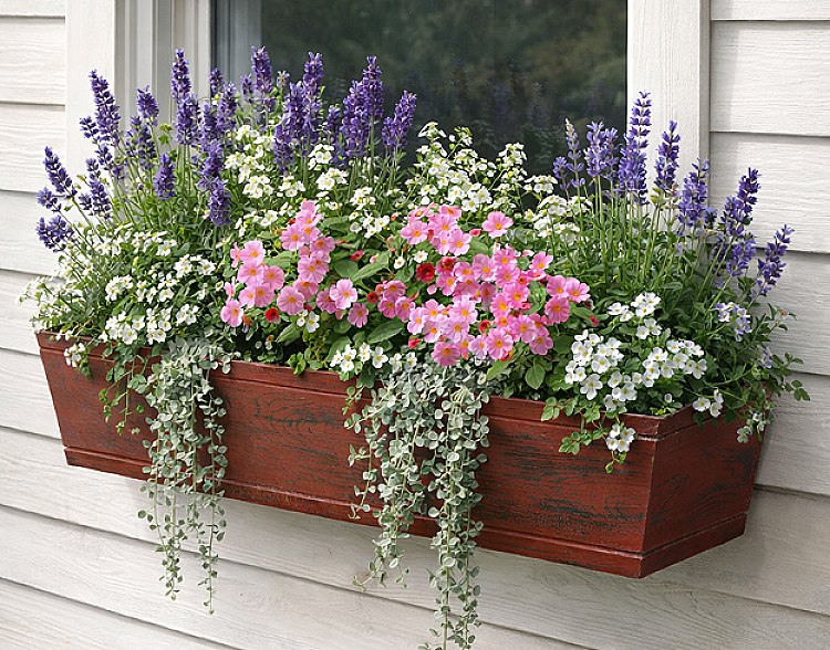 Finding Your Window Box Style: A Design Guide - Hooks & Lattice