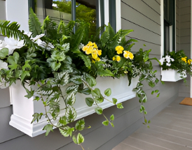 How to Choose the Perfect Window Boxes for Your Home - eshoptoday