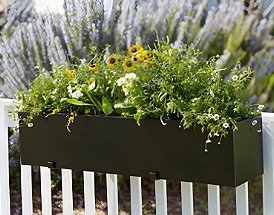 Designing a Pollinator Garden - Hooks & Lattice