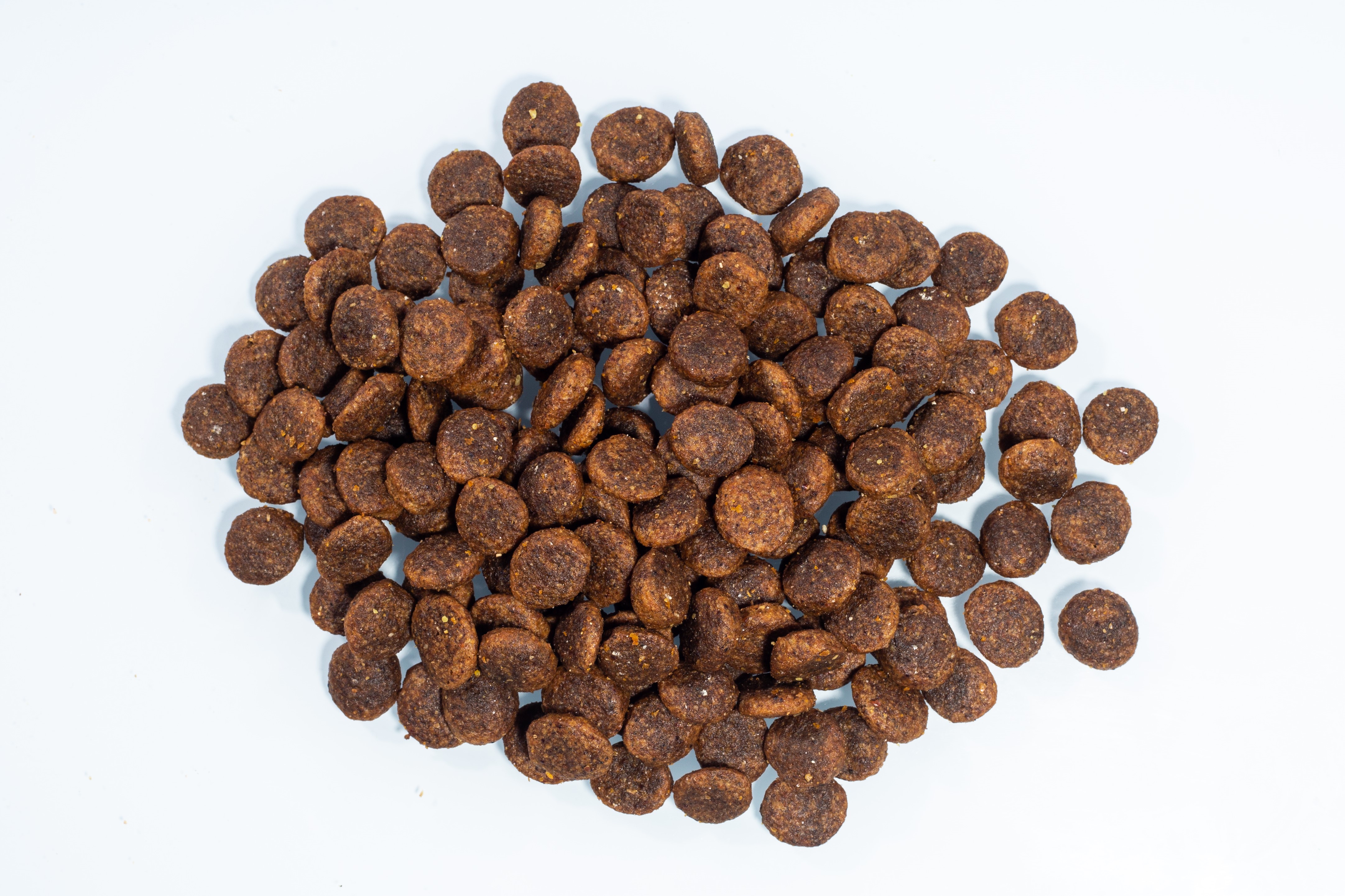 Snapshot of Grain Free Puppy Food With Lamb