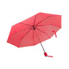 CarryLite Umbrella CarryLite Umbrella