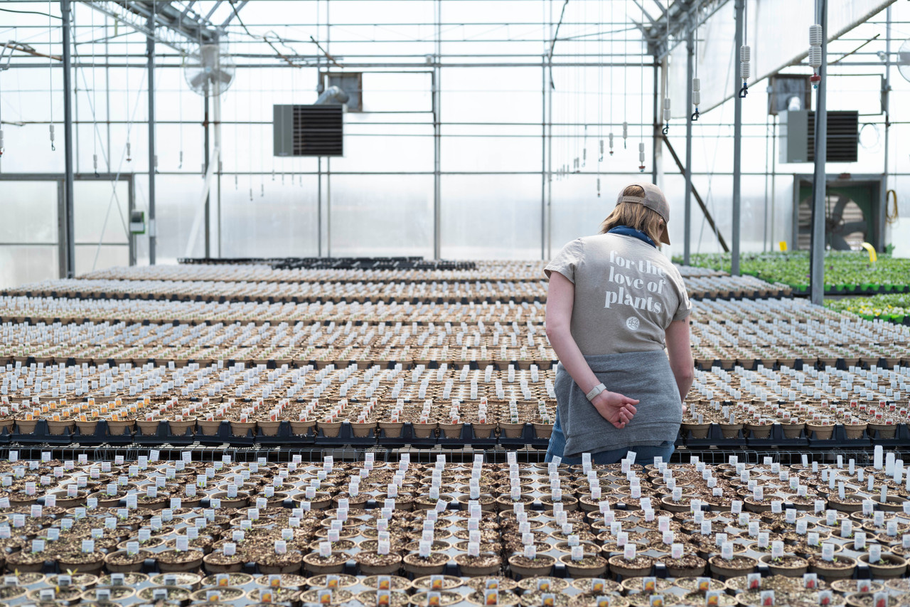 Tonkadale Greenhouse Minnetonka S Favorite Family Owned Garden