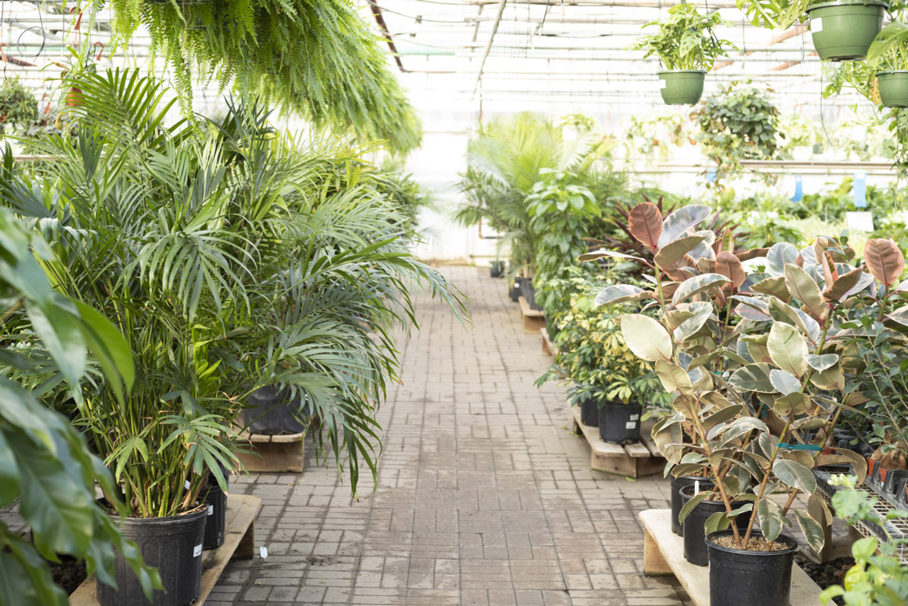 Tonkadale Greenhouse Minnetonka S Favorite Family Owned Garden