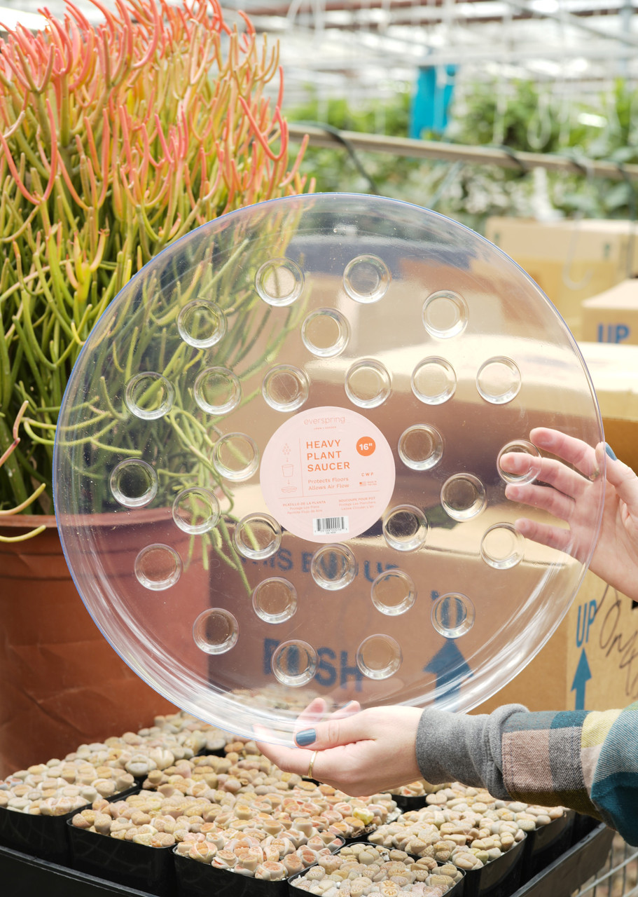 air plant terrarium kit DIY Air Plant Terrarium Kit: Build Your Own Glass Teardrop Decor  The  Market Made