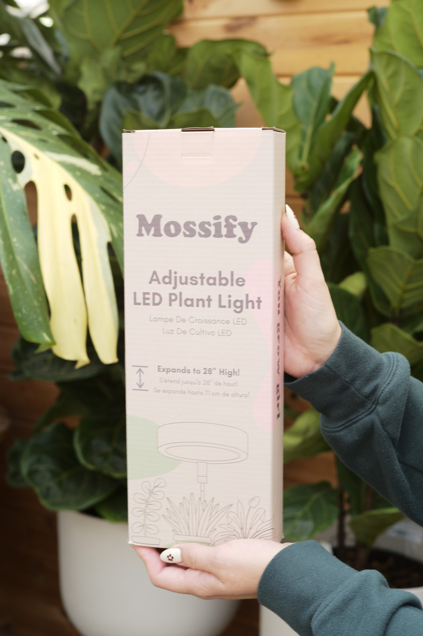 Mossify - Reusable Plant Tape