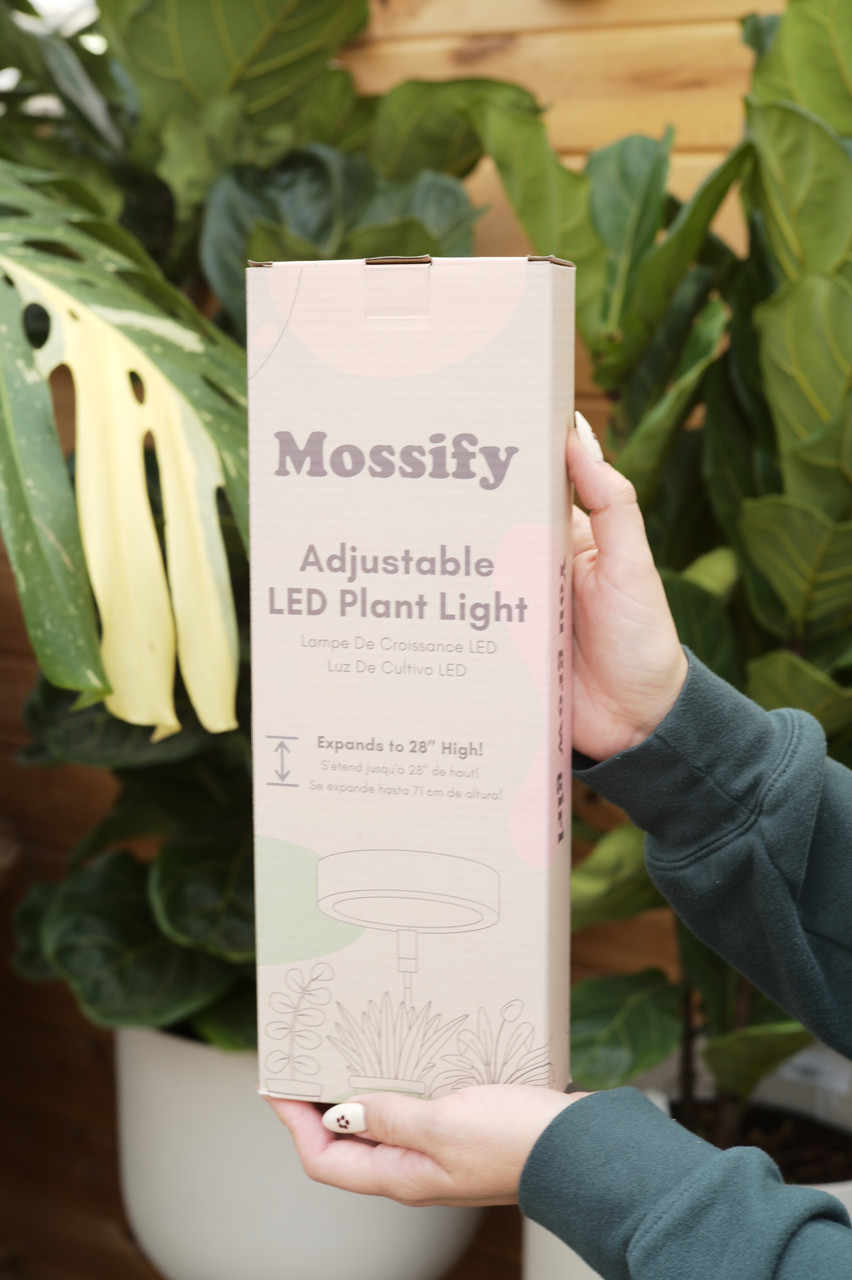 Lampe ajustable au LED pour plante intérieur MOSSIFY – Jardinerie