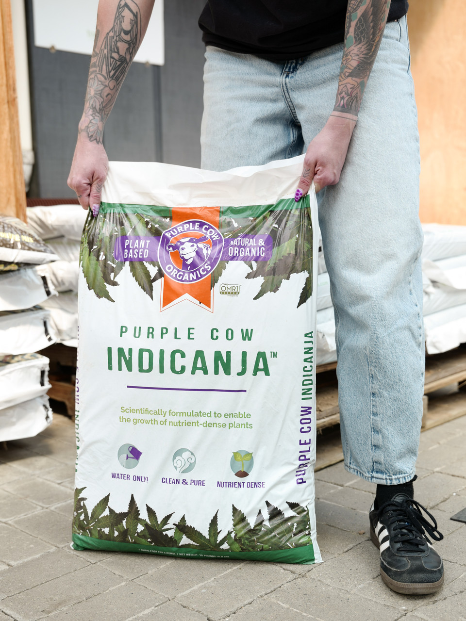 Purple Cow IndiCanja - Thumbnail 2