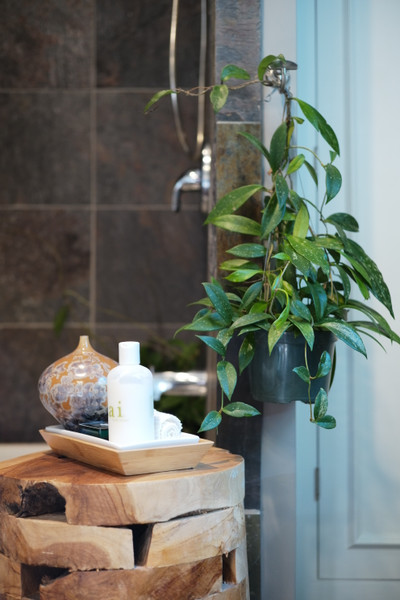 Shower Plants 