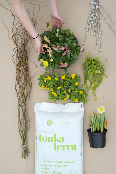 Container Gardening for Early Spring