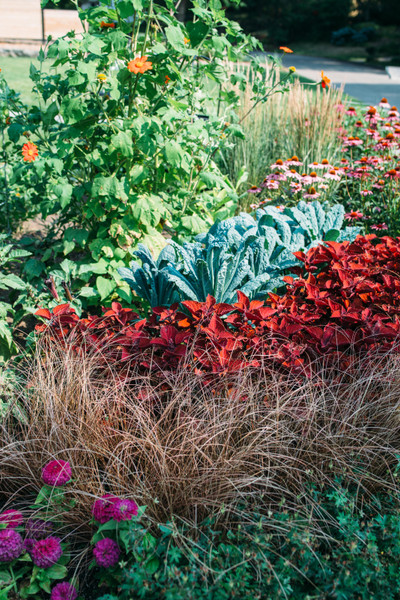 July in the Garden