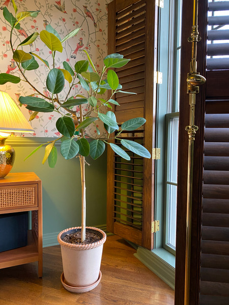 Gift Guide from Wit & Delight