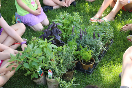 Gardening with Kids