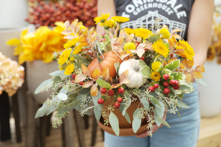 Fall Events at Tonkadale